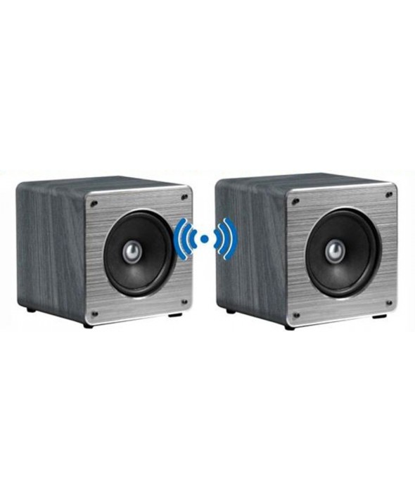 Altavoz 2 unidades bluetooth simultaneos con bateria